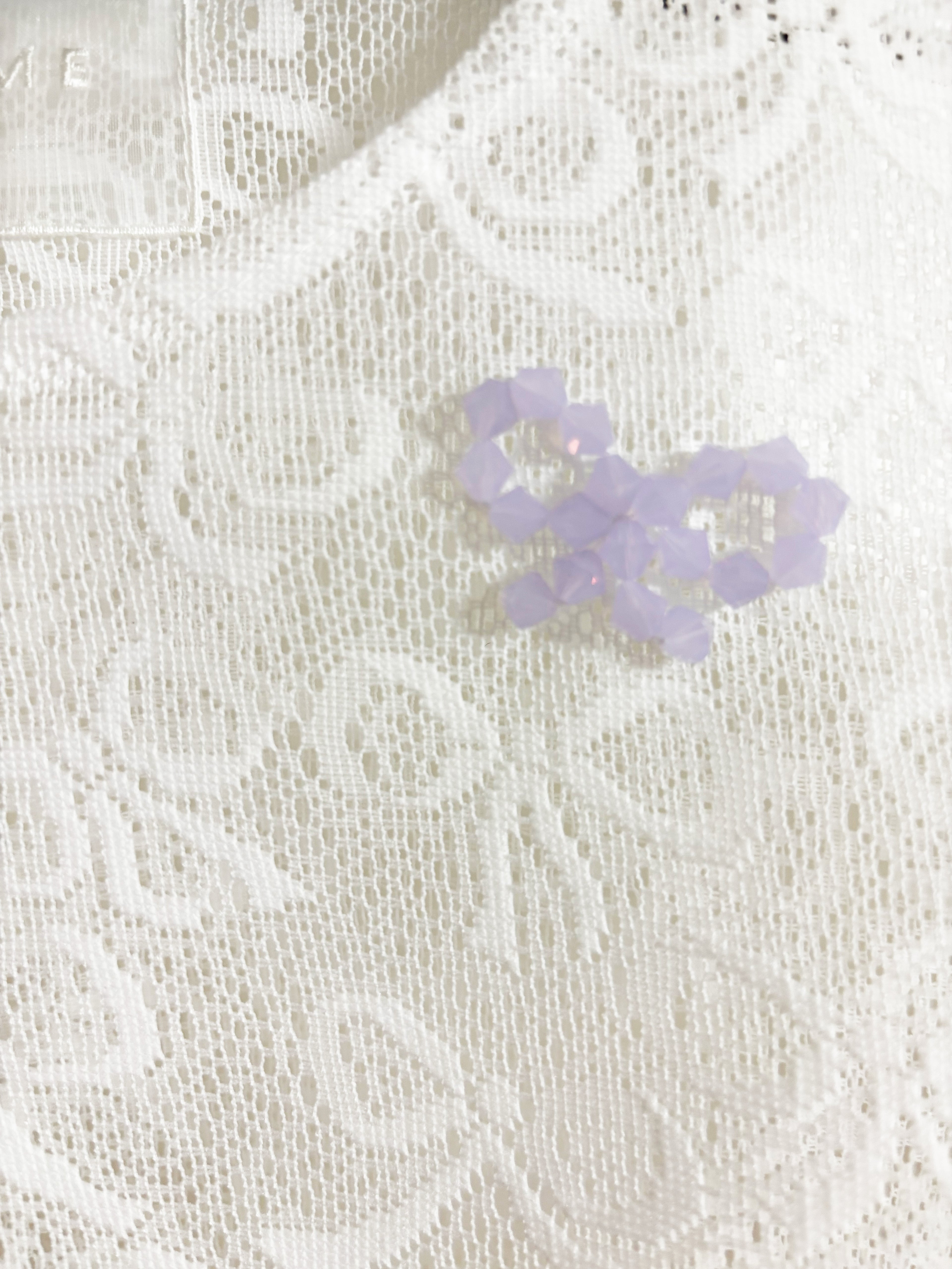 Bow Pattern Lace Long-sleeve Embroidery Top